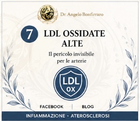 LDL ossidate alte: il colesterolo dentro un ambiente infiammato