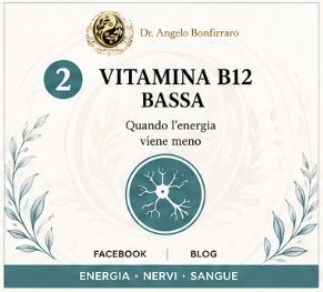 Vitamina B12 bassa: energia, nervi, sangue e assorbimento