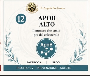 ApoB alto: perché può dire più del colesterolo totale