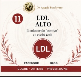 LDL alto: perché non basta guardare il colesterolo totale