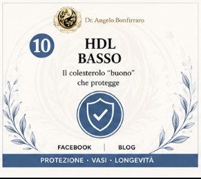HDL basso: cosa significa davvero e come migliorare il terreno metabolico